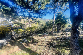 Потрясающий видовой участок в соснах в коттеджном поселке !!!