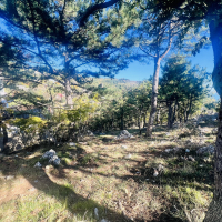 Потрясающий видовой участок в соснах в коттеджном поселке !!!